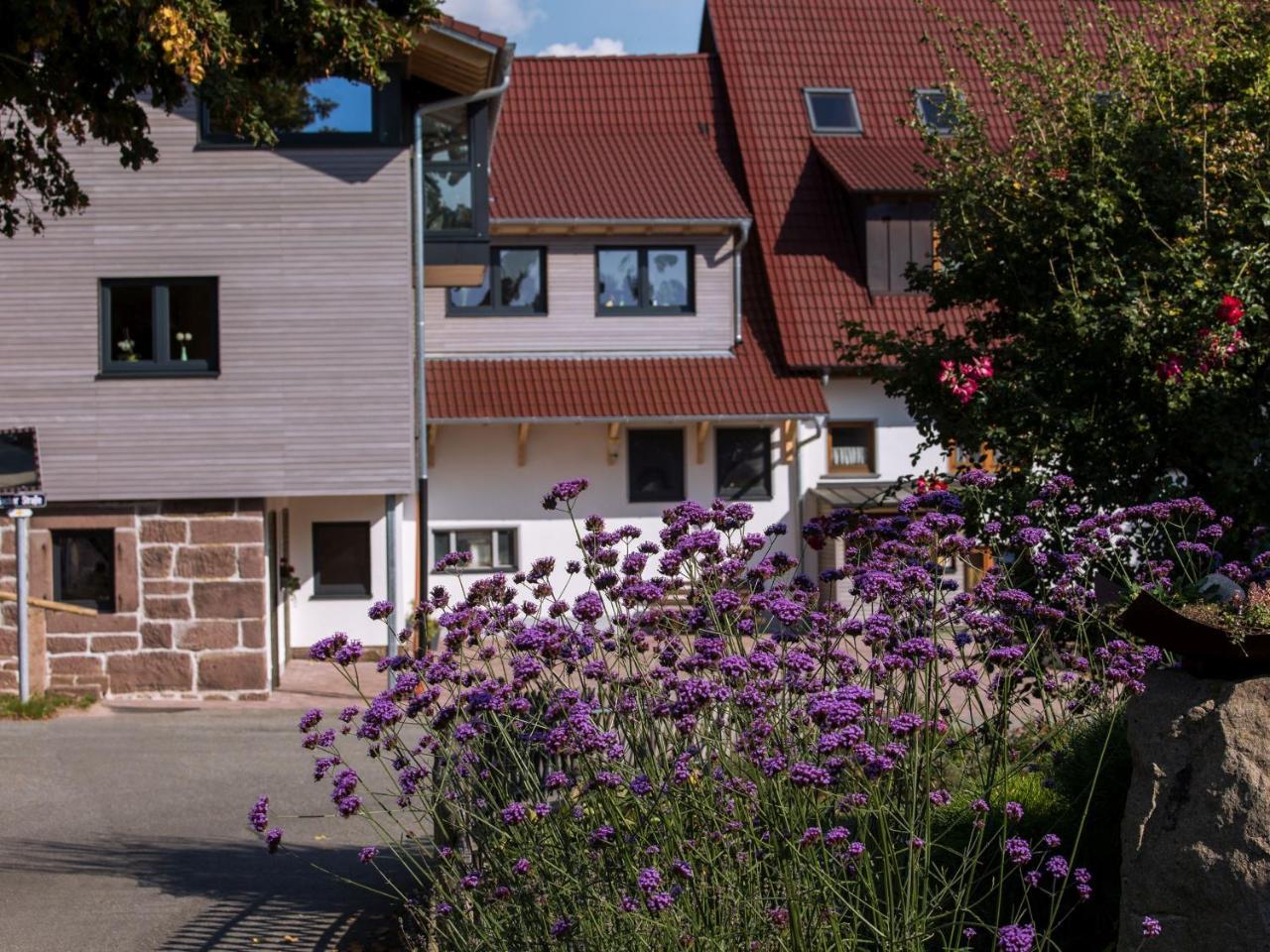 Saunaloft Schwarzwald Gemeinde Gemeinde Aichhalden Exterior foto