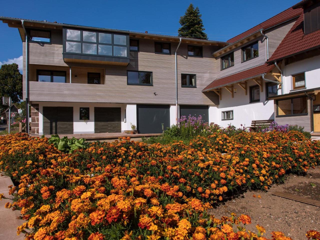 Saunaloft Schwarzwald Gemeinde Gemeinde Aichhalden Exterior foto