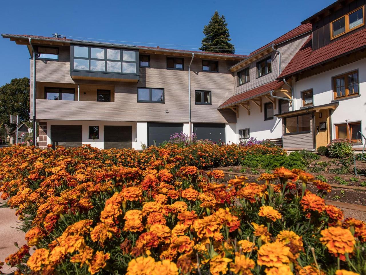 Saunaloft Schwarzwald Gemeinde Gemeinde Aichhalden Exterior foto
